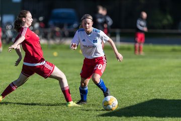 Bild 382 - F Egenbuettel - Hamburger SV 2 : Ergebnis: 0:8